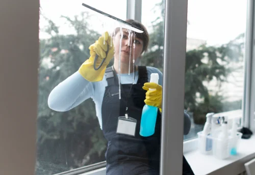 Nettoyage de vitres intérieures et extérieures à Noyant-d'Allier